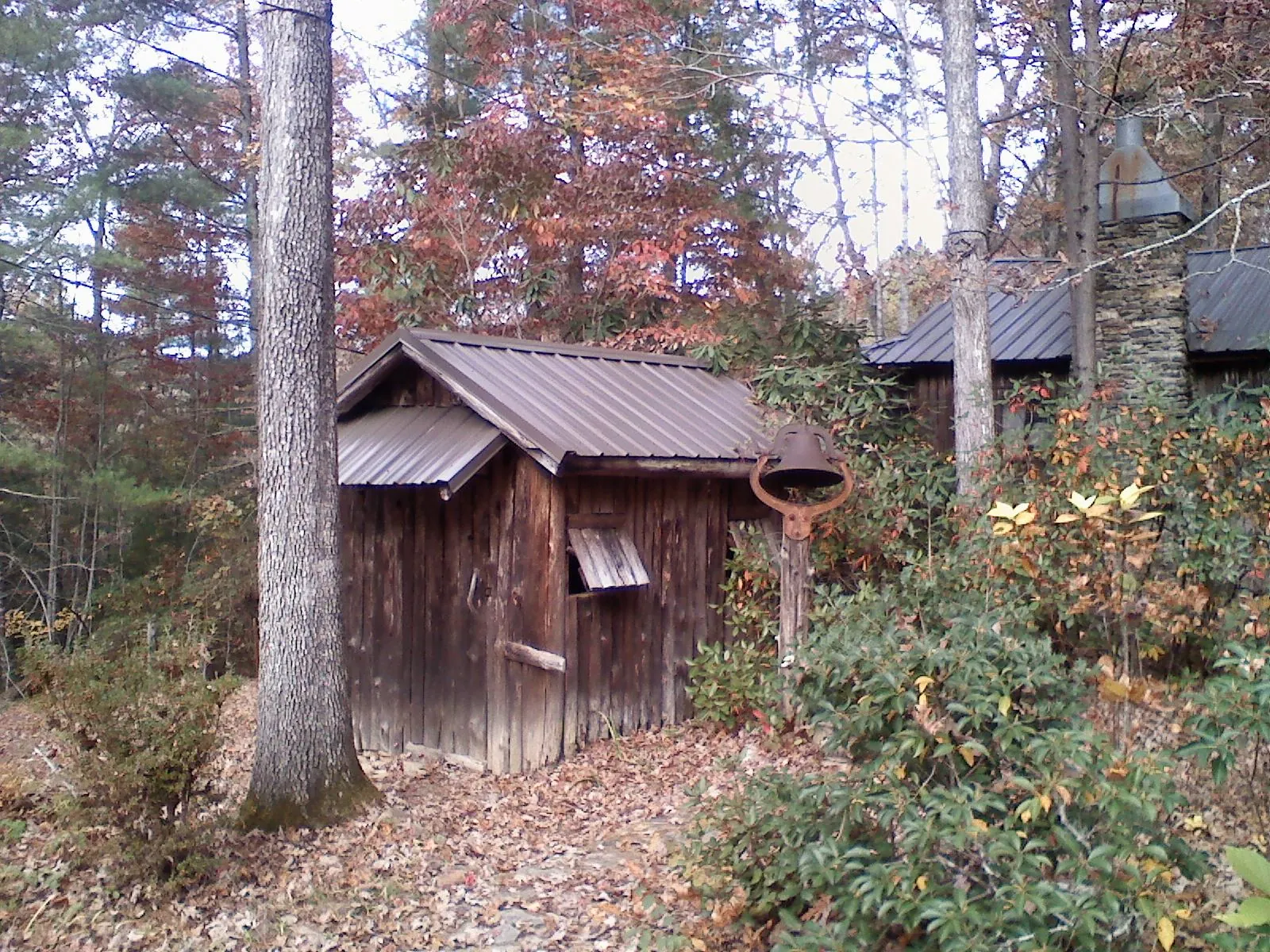 Small metal roof on a rough sawn shed in the woods in Pickens